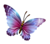  Butterfly Purple And Blue Transparent Image